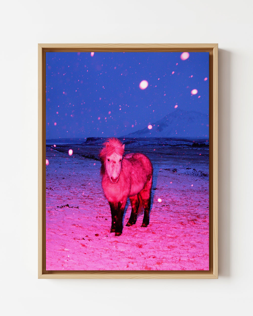 The Magic Horse - Framed Canvas