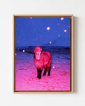 The Magic Horse - Framed Canvas