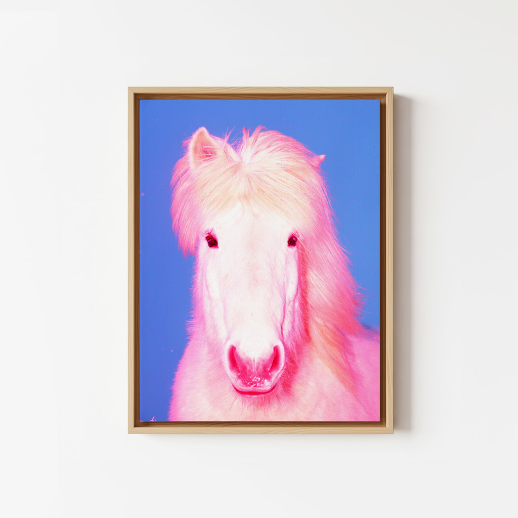 The Sexy Horse - Limited Edition