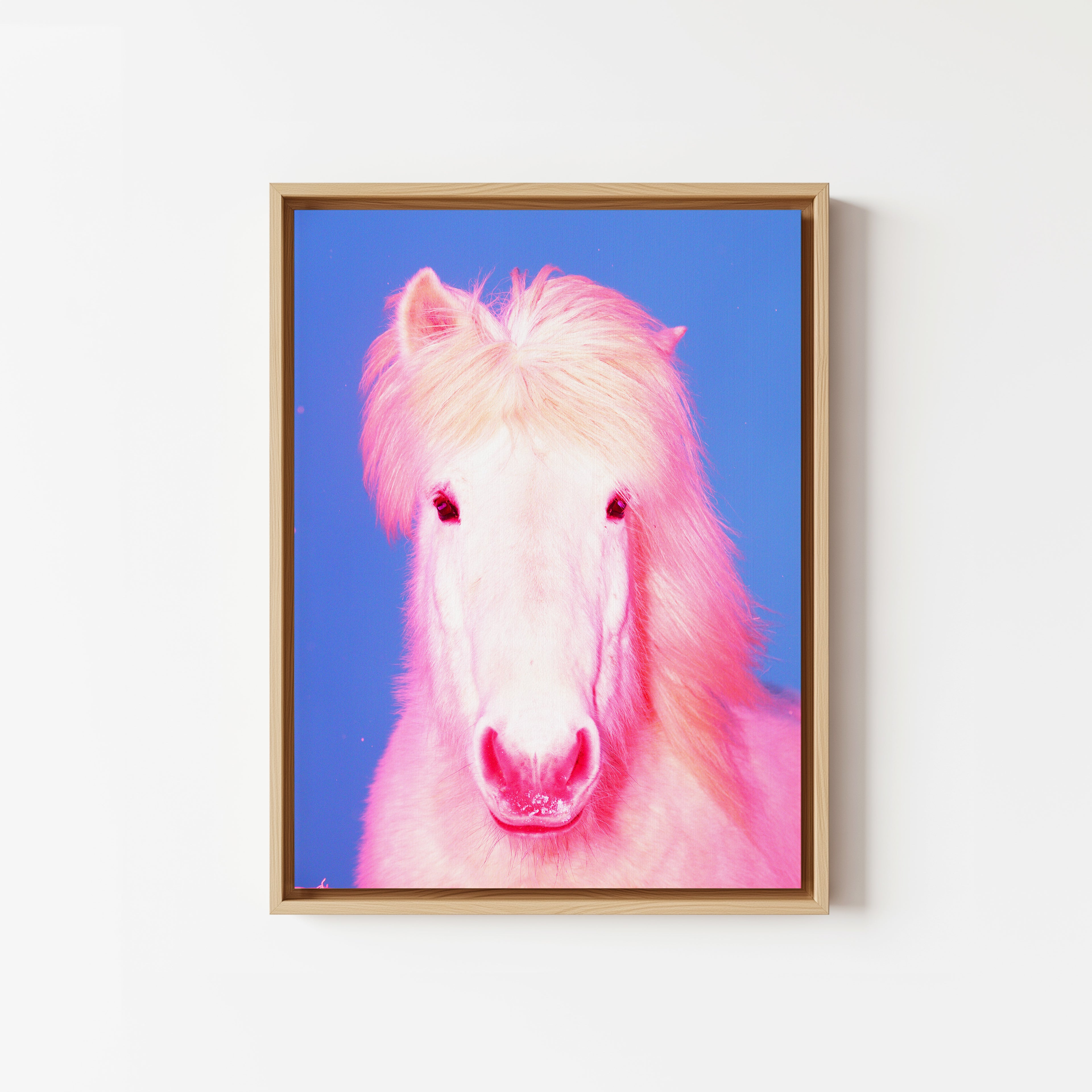 The Sexy Horse - Limited Edition