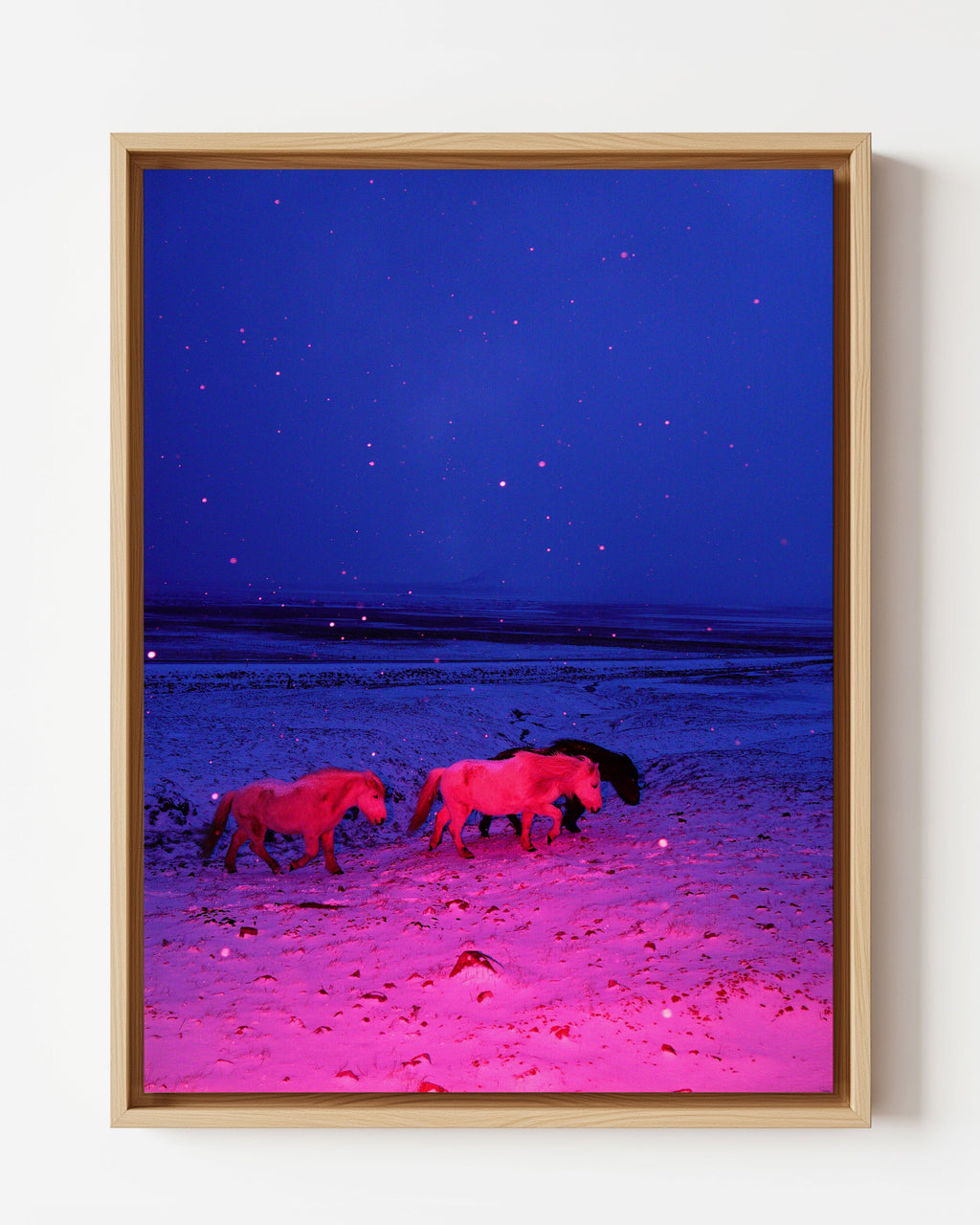 Three Horses in a Pink Storm - Framed Canvas