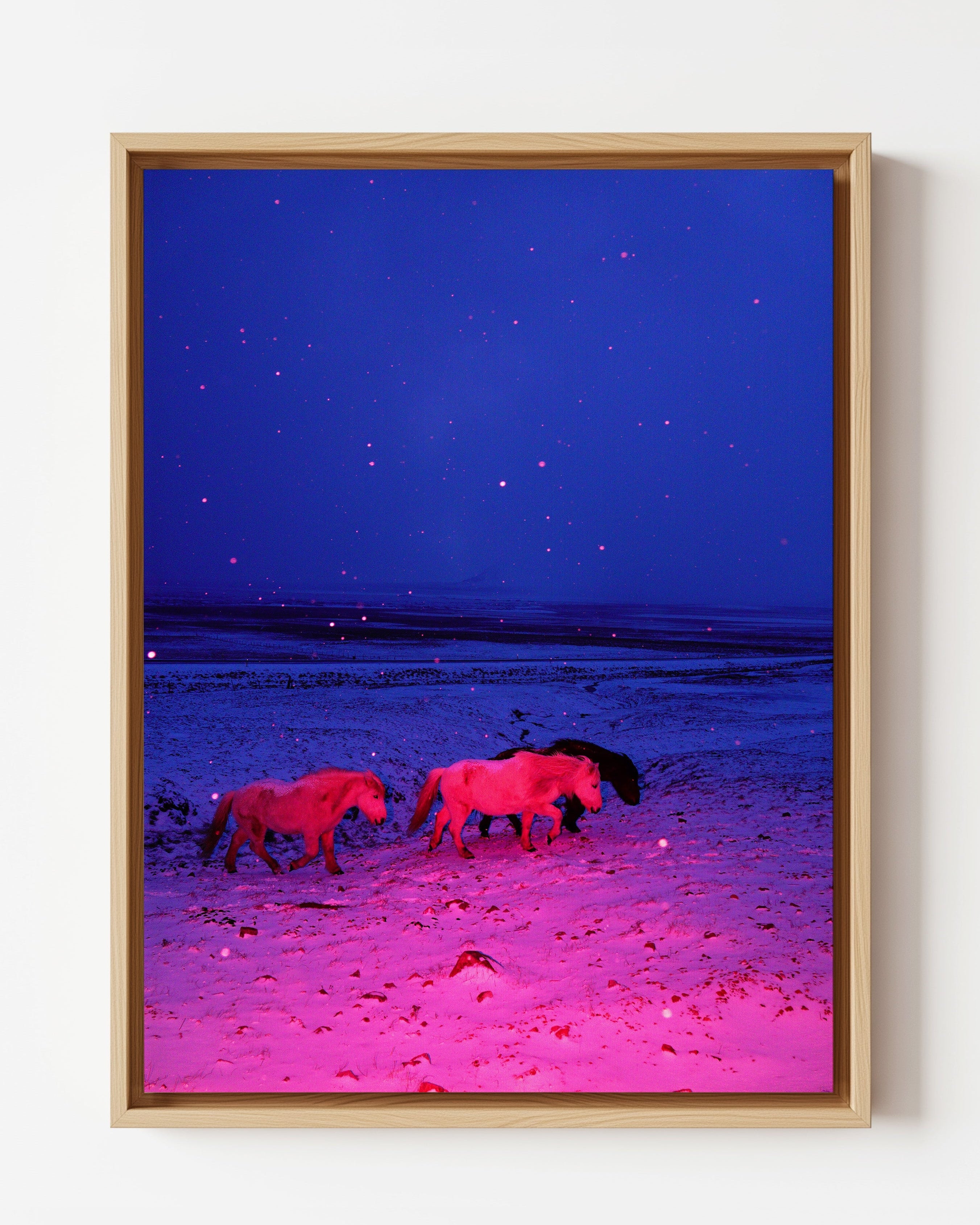 Three Horses in a Pink Storm - Framed Canvas