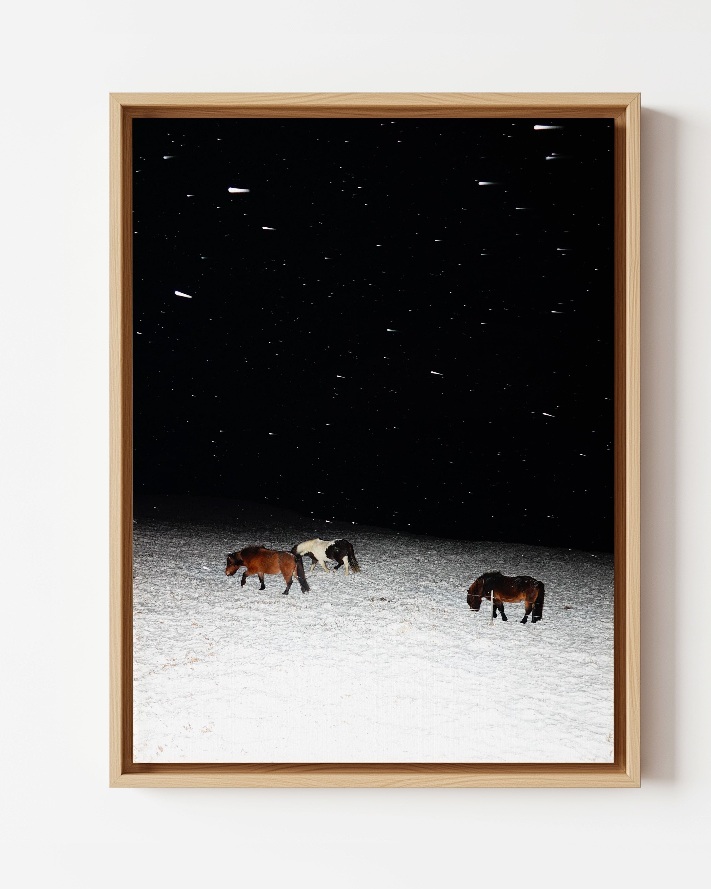 Three Horses in a Snowstorm - Framed Canvas