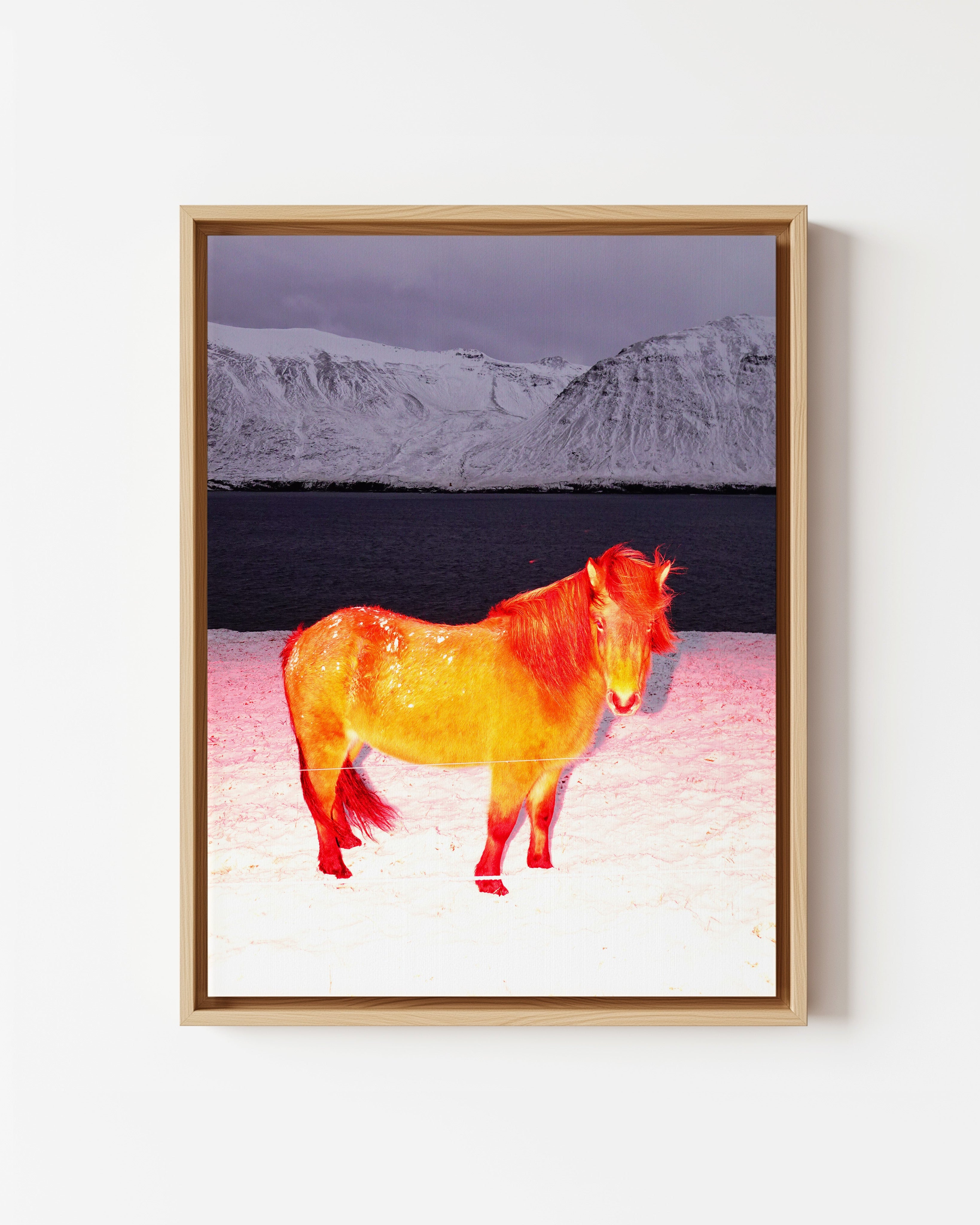 The Red Horse - Framed Canvas