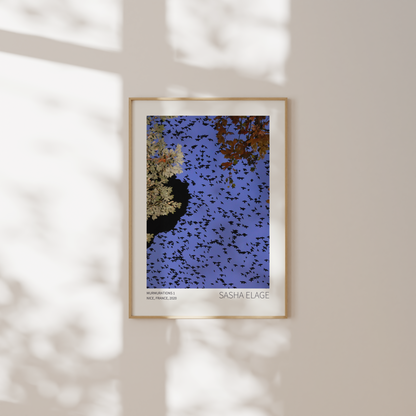Murmurations 1