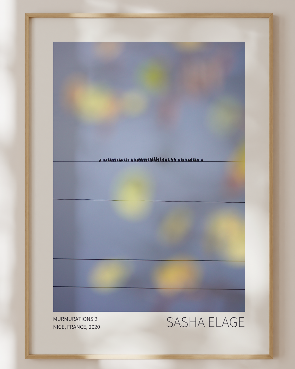 Murmurations 2 - Open Edition