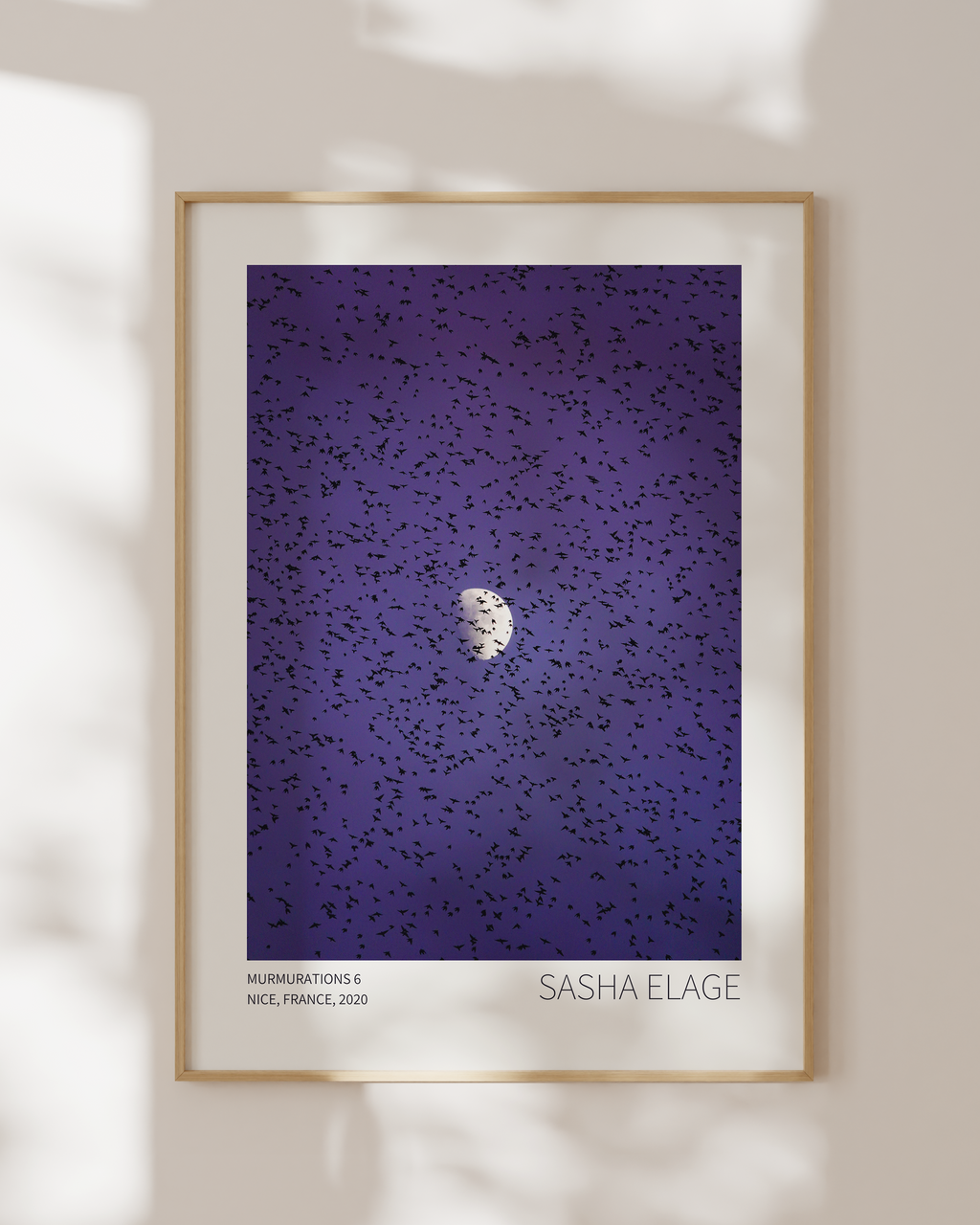 Murmurations 6 - Open Edition