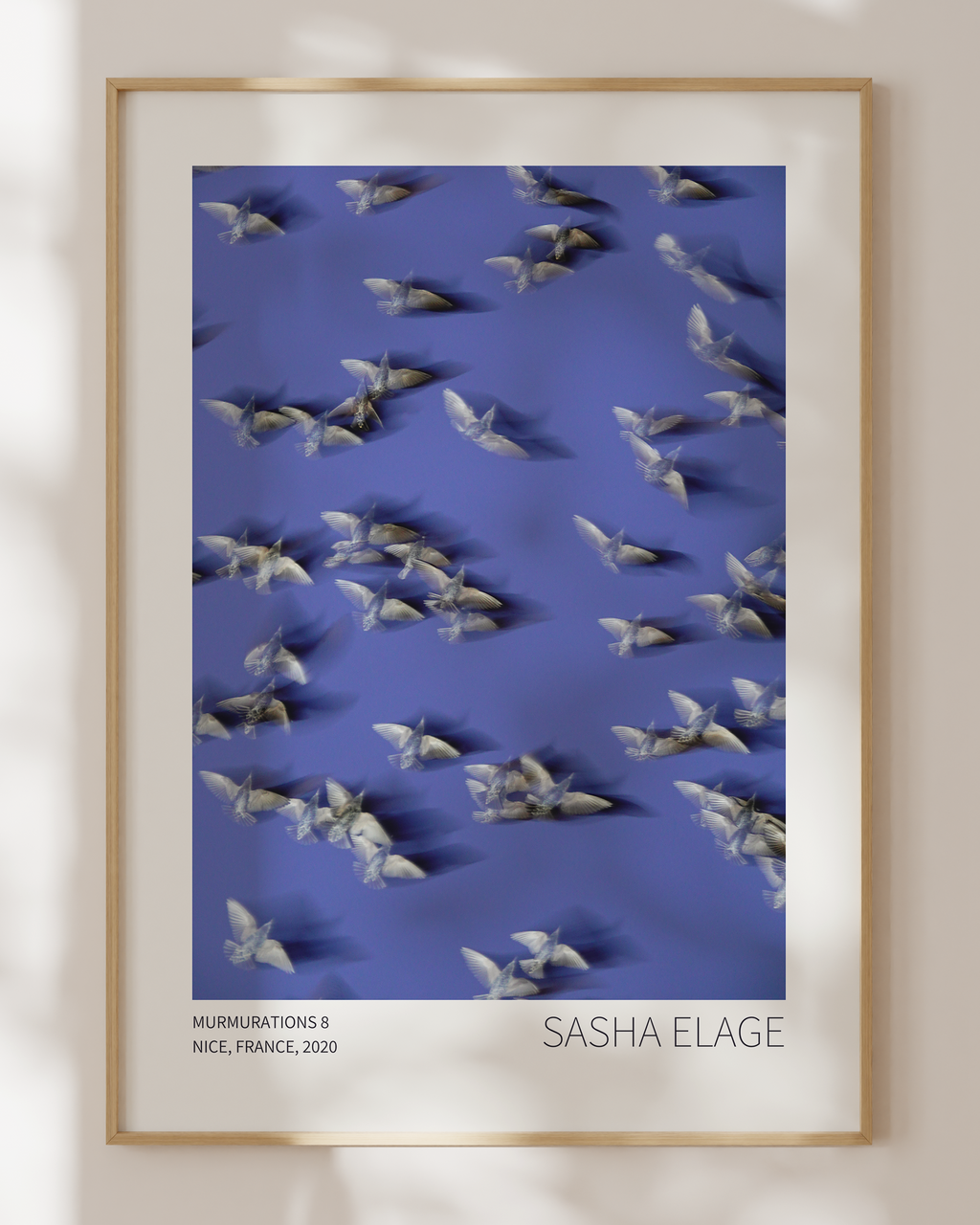 Murmurations 8 - Open Edition