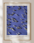 Murmurations 8 - Open Edition