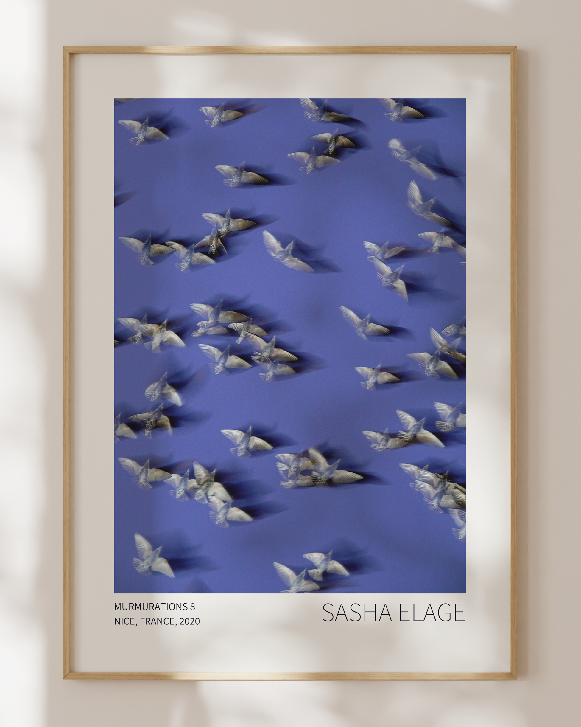 Murmurations 8 - Open Edition