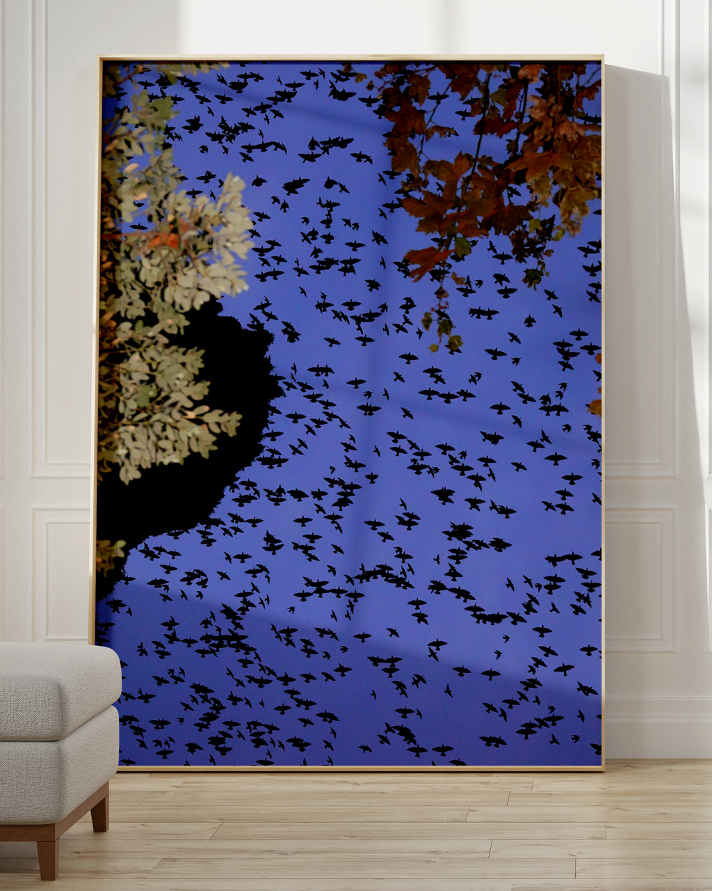 Murmurations 1 - Limited Edition