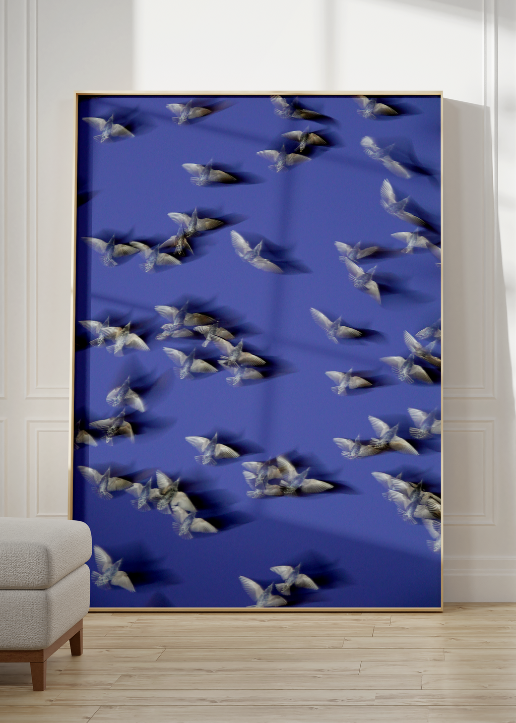 Murmurations 8 - Limited Edition