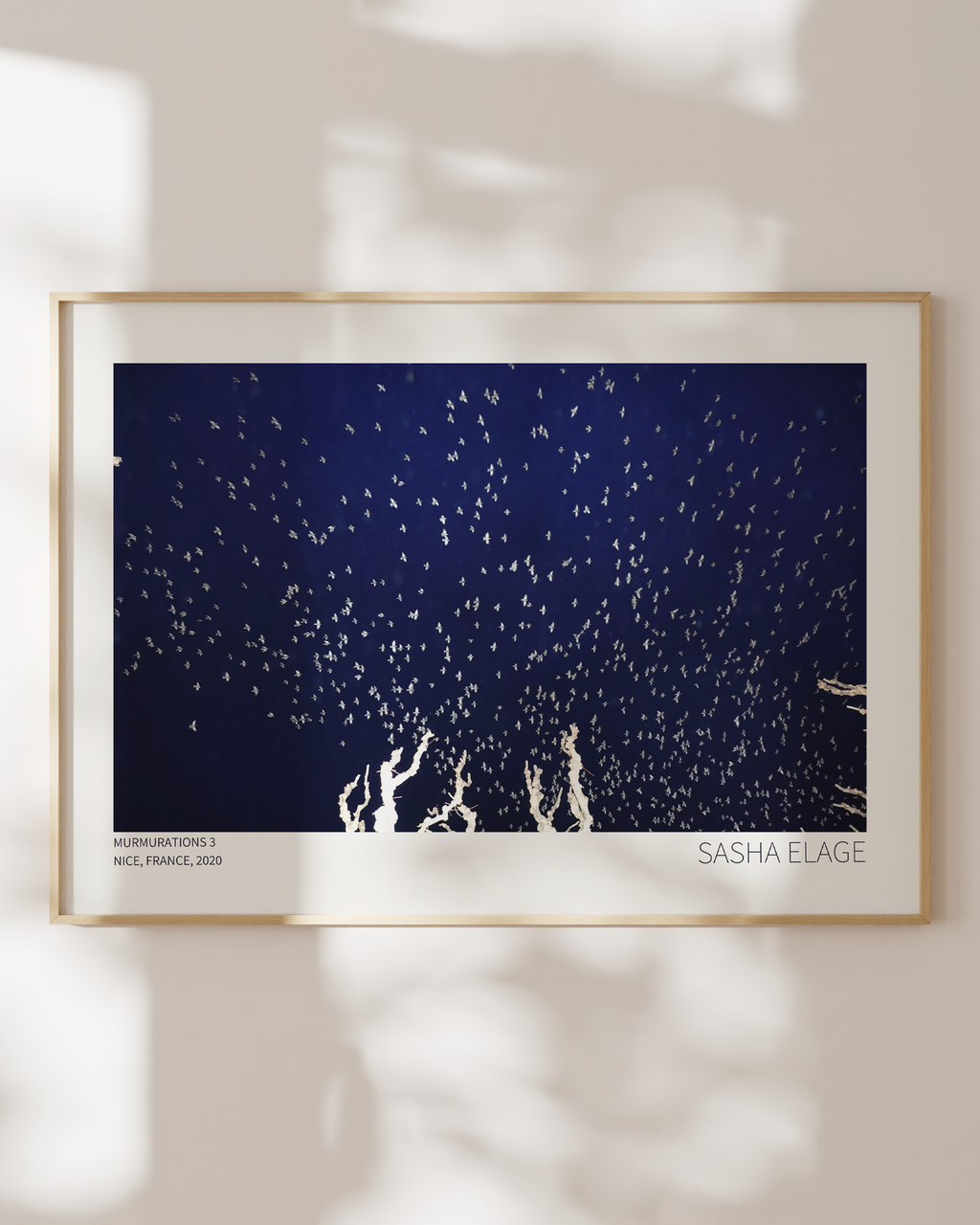 Murmurations 3 - Open Edition