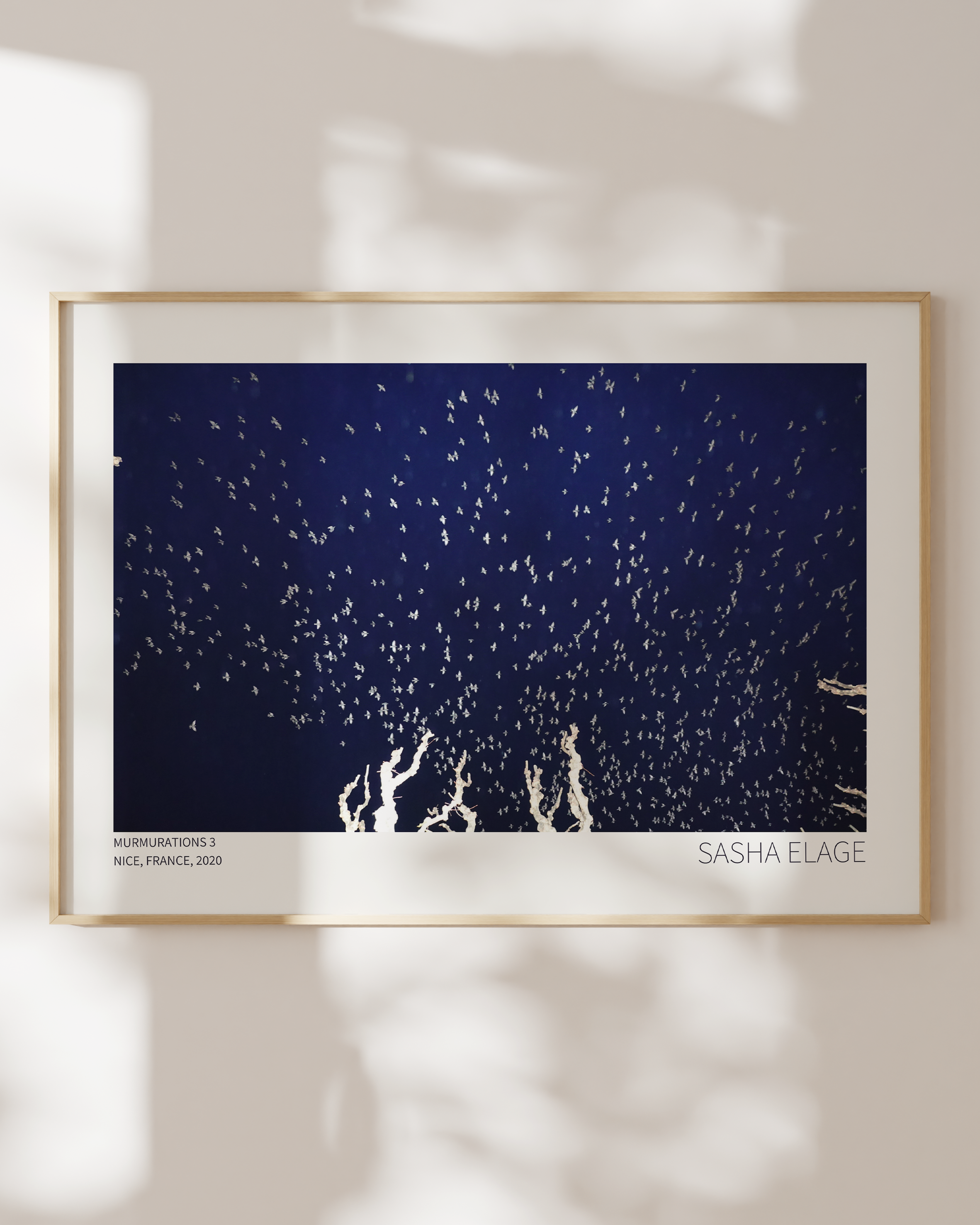 Murmurations 3 - Open Edition