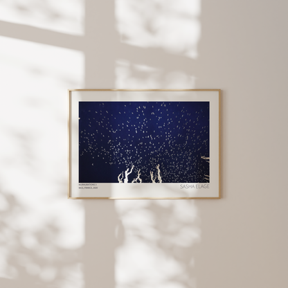 Murmurations 3