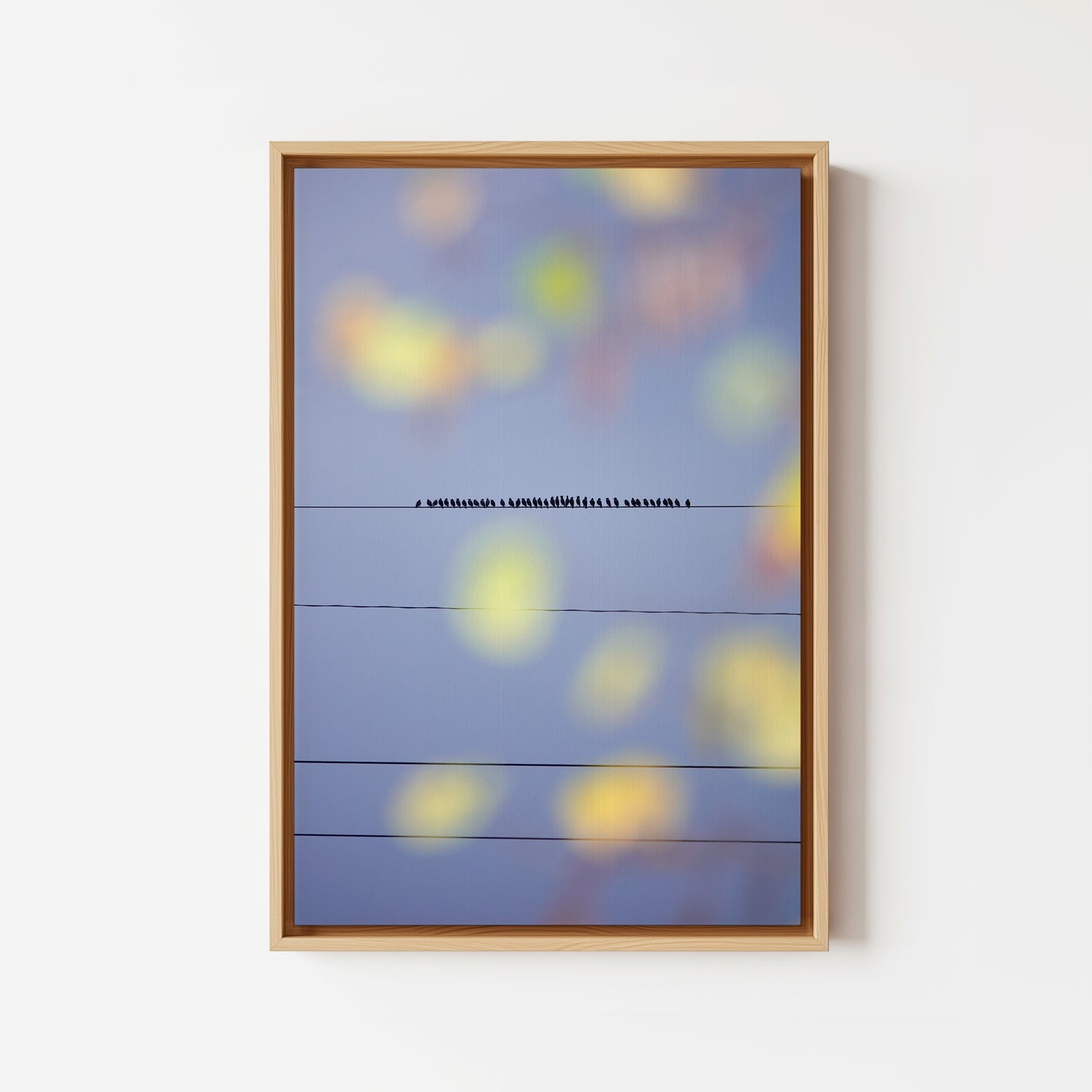 Murmurations 2