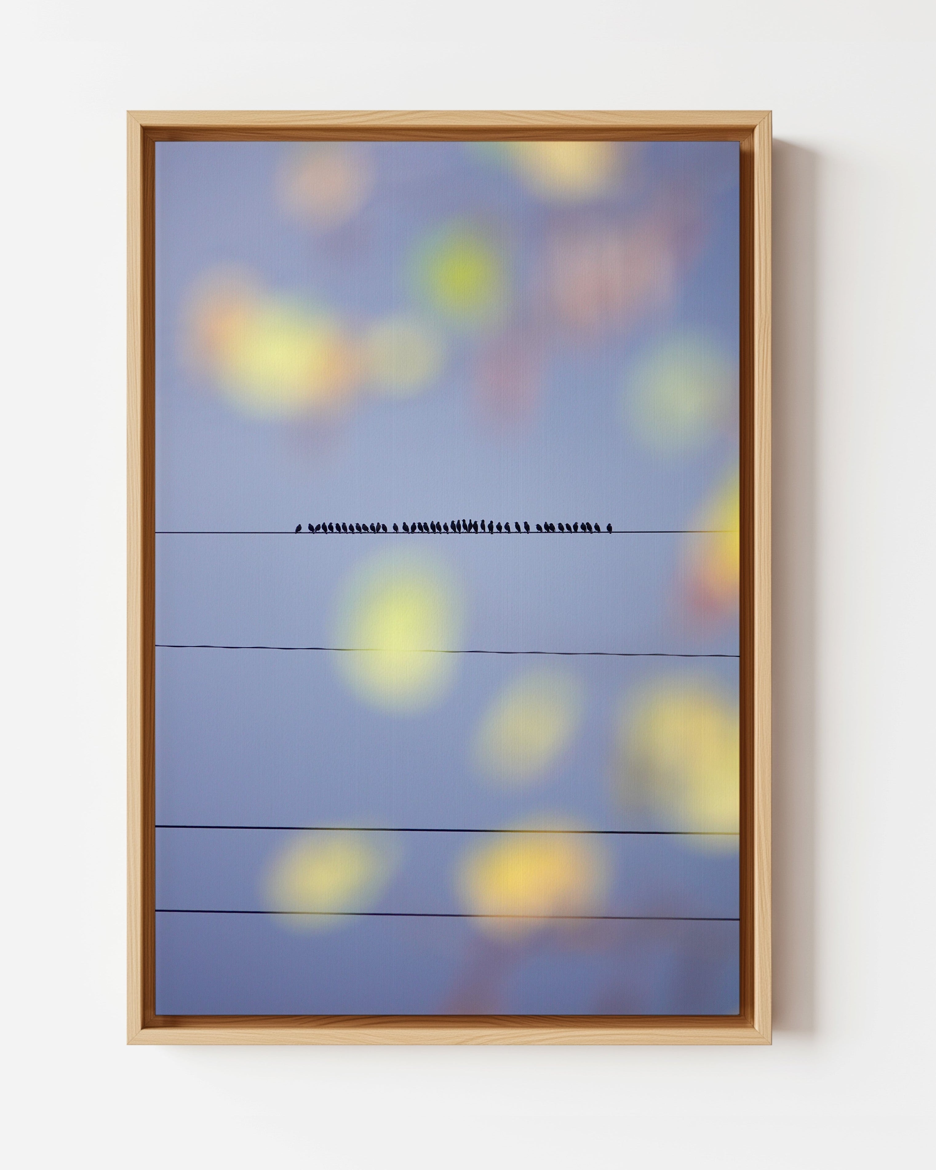 Murmurations 2 - Framed Canvas