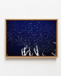 Murmurations 3 - Framed Canvas