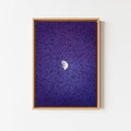 Murmurations 6 - Framed Canvas