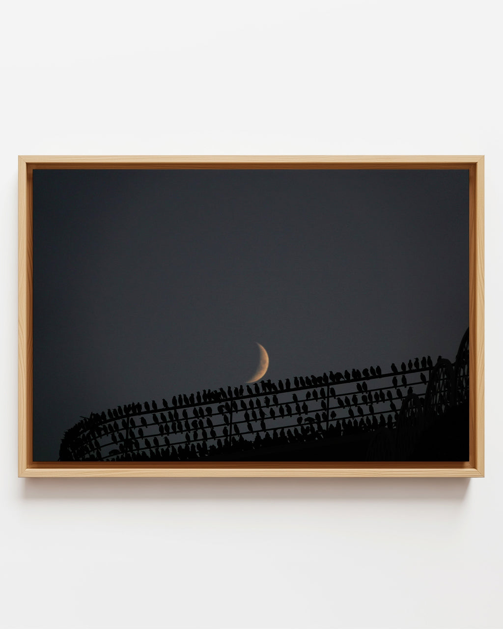 Murmurations 7 - Framed Canvas