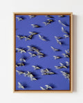 Murmurations 8 - Framed Canvas
