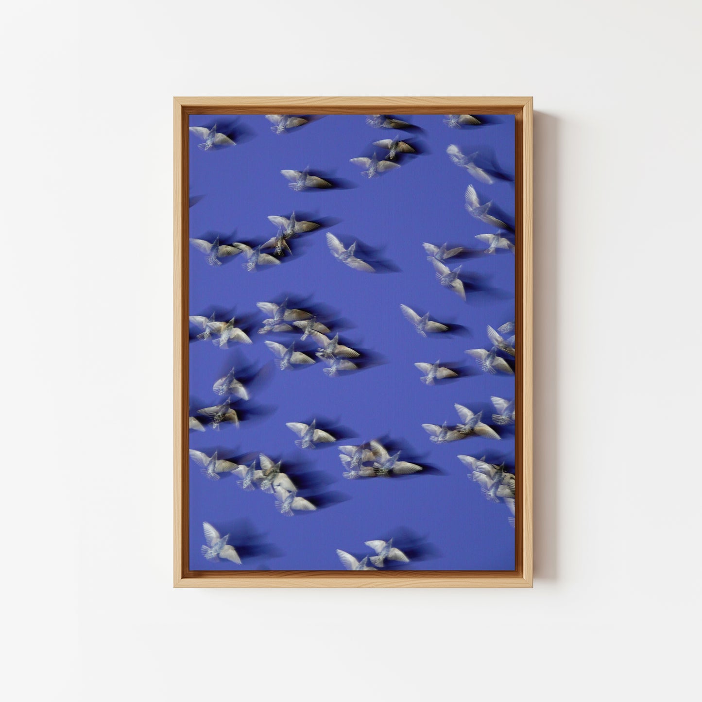 Murmurations 8