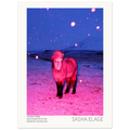 The Magic Horse, fine art photograph by Sasha Elage, Magic Island collection