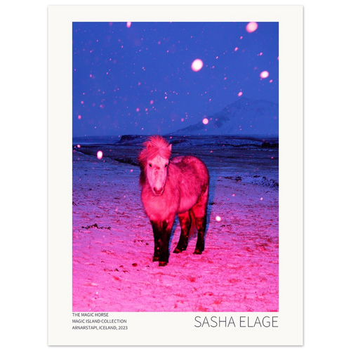 The Magic Horse, fine art photograph by Sasha Elage, Magic Island collection