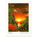 Magic Sunset, fine art photograph by Sasha Elage, The Secret Place collection