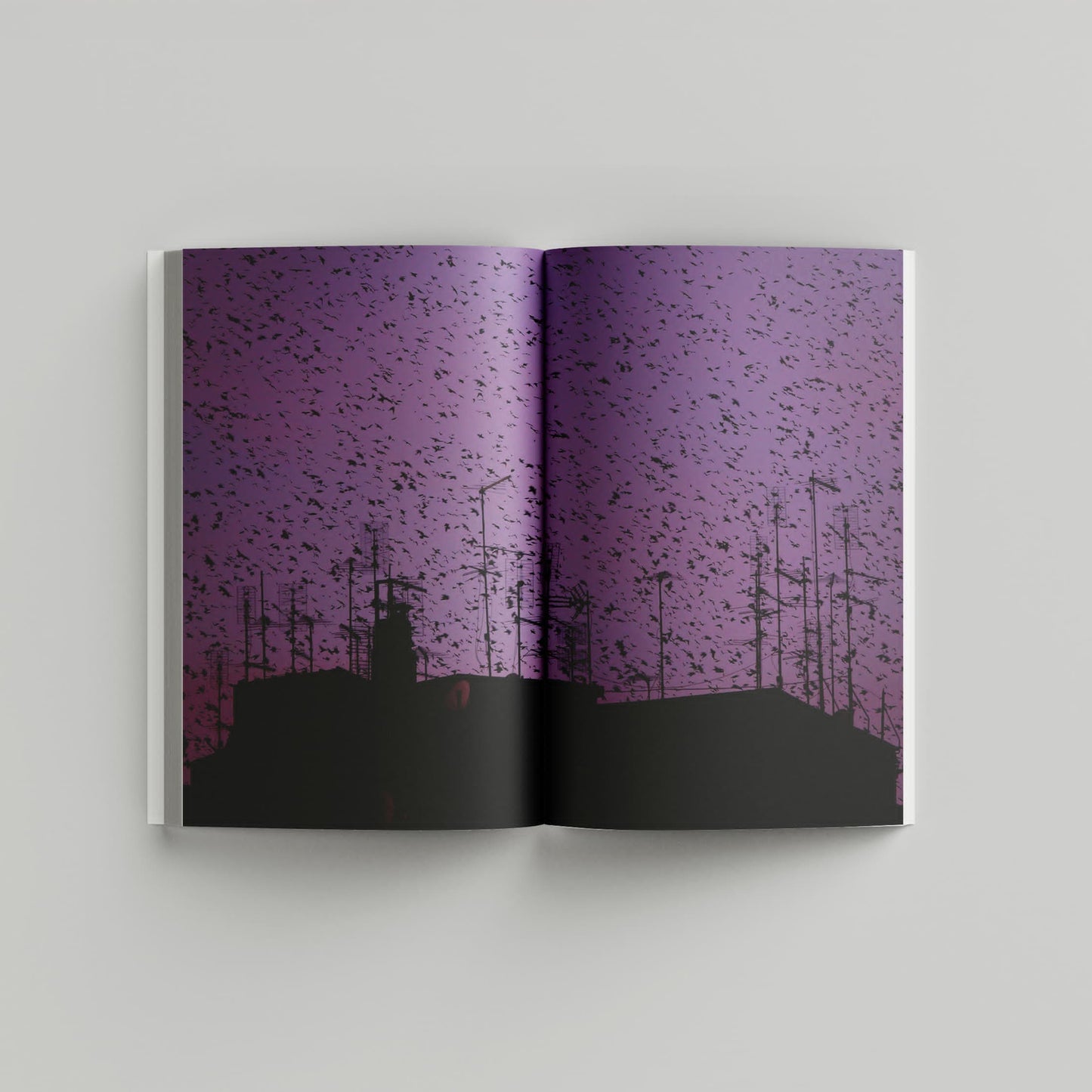 "Murmurations" Photography Book