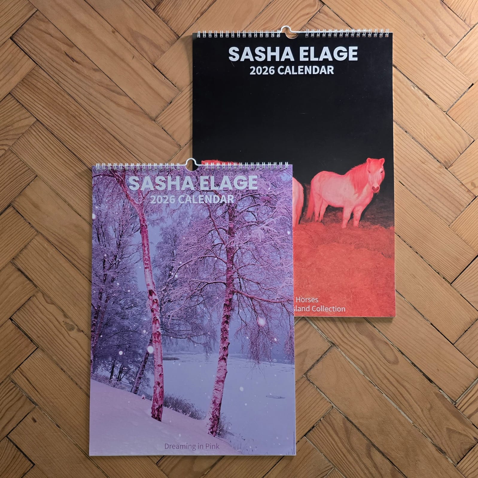 (BUNDLE) 2 calendars for $99 (save $19) 2026 Dreaming in Pink & Icelandic Horses