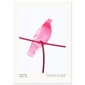 Pink Pigeon, fine art photograph by Sasha Elage, Featherverse collection