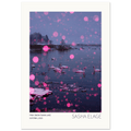 Pink Snow, Swan Lake, fine art photograph by Sasha Elage, Featherverse collection