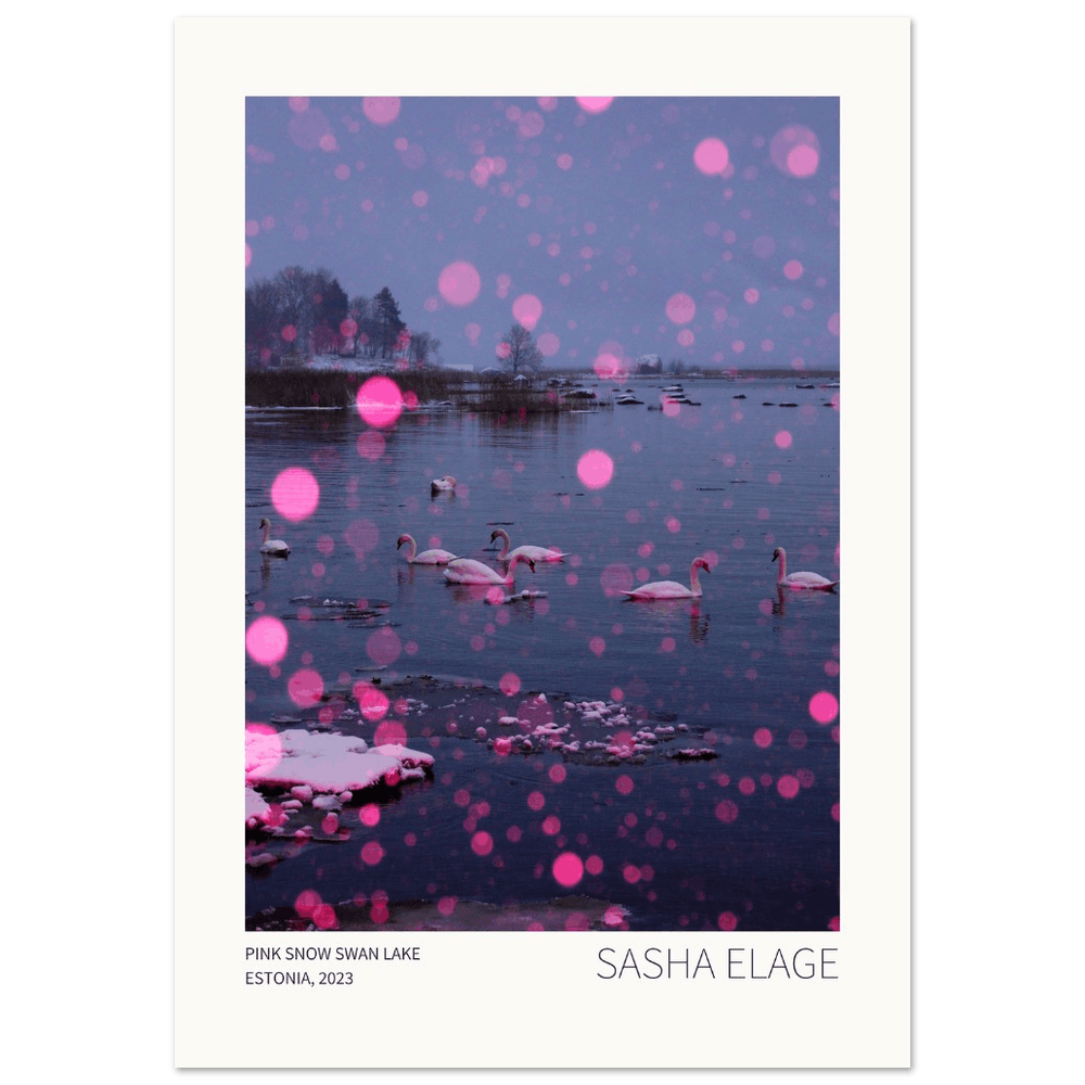 Pink Snow, Swan Lake - Open Edition