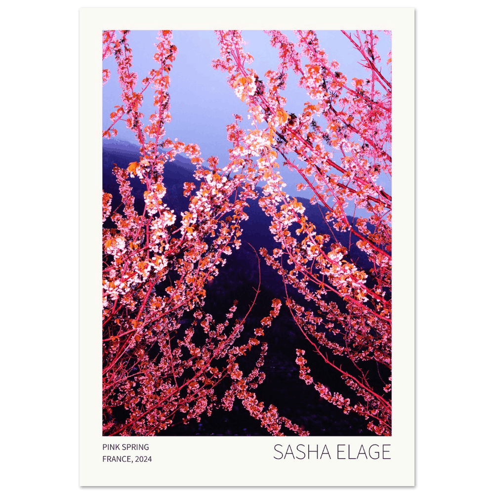 Pink Spring - Open Edition