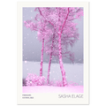 Pinkscape, fine art photograph by Sasha Elage, Dreaming In Pink collection
