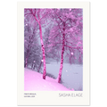 Pinkturesque, fine art photograph by Sasha Elage, Dreaming In Pink collection