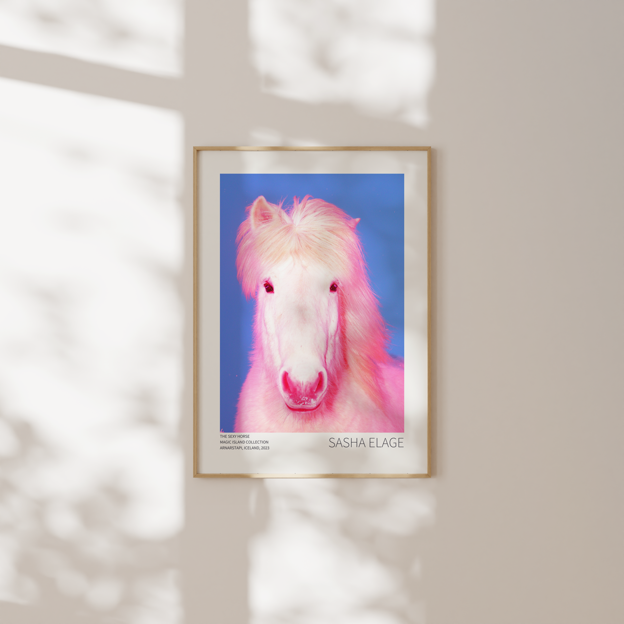 The Sexy Horse