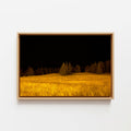 Yellow - Framed Canvas