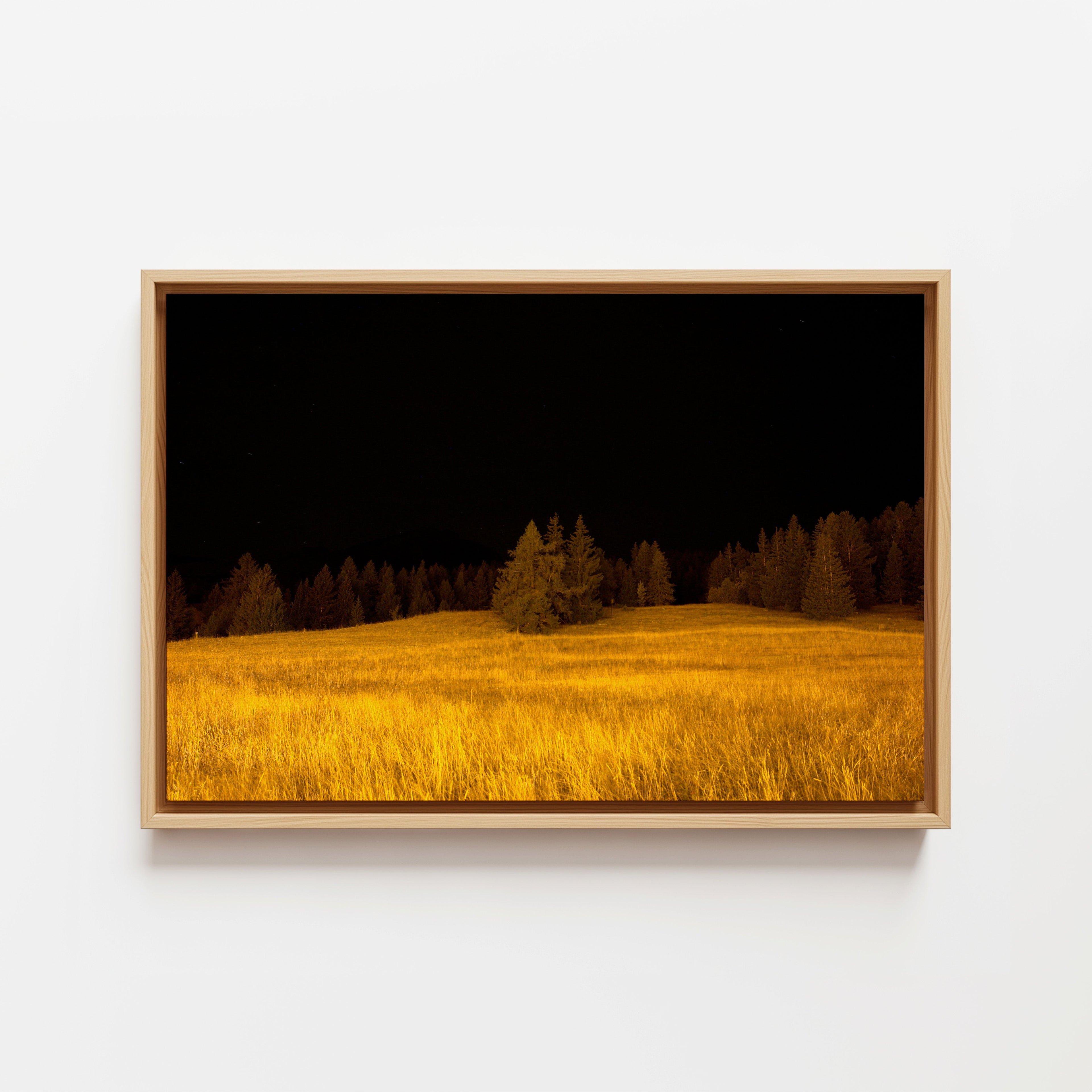 Yellow - Framed Canvas