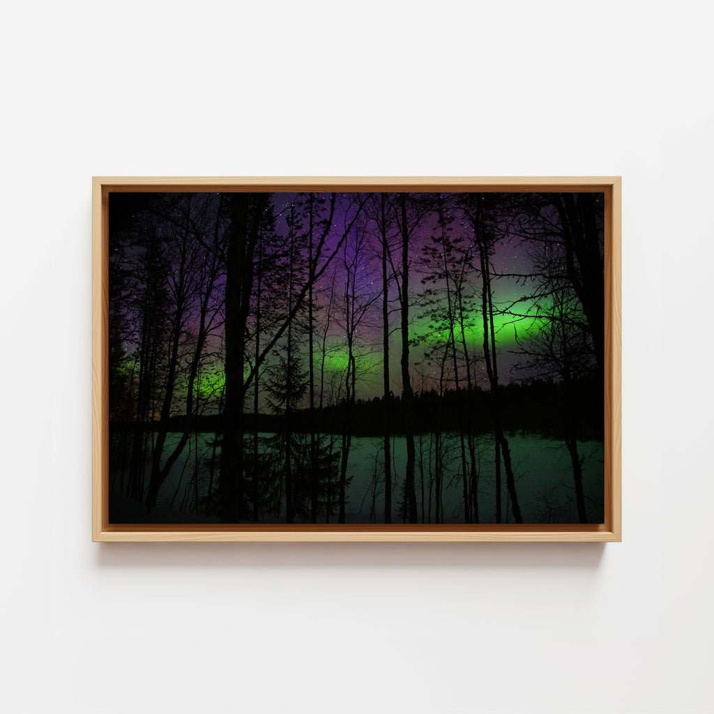 The Green Veil - Framed Canvas
