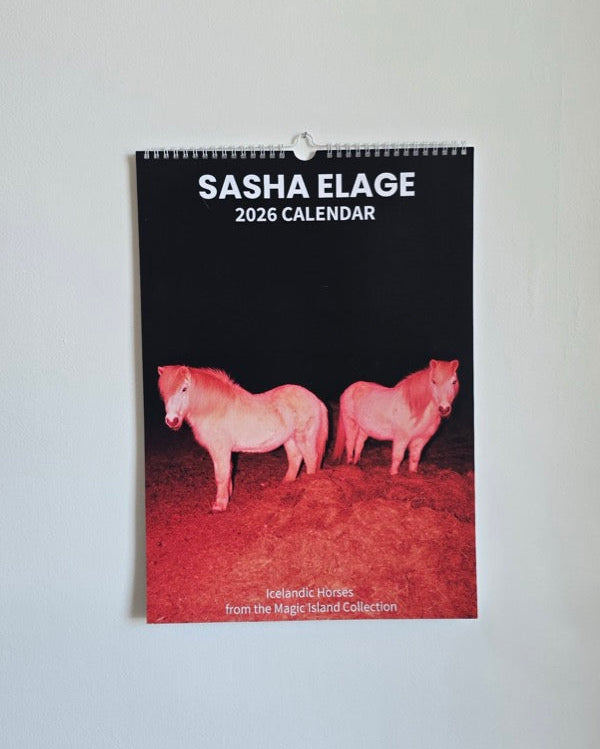 Icelandic Horses 2026 Calendar
