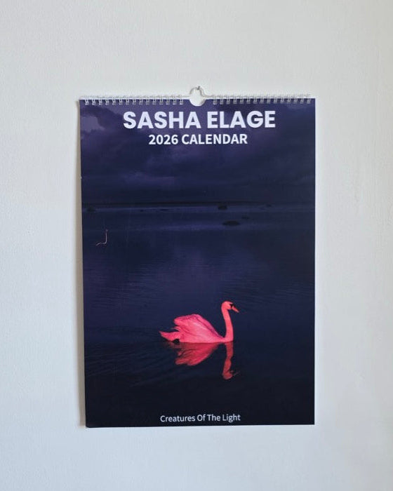 Creatures of Light 2026 Calendar