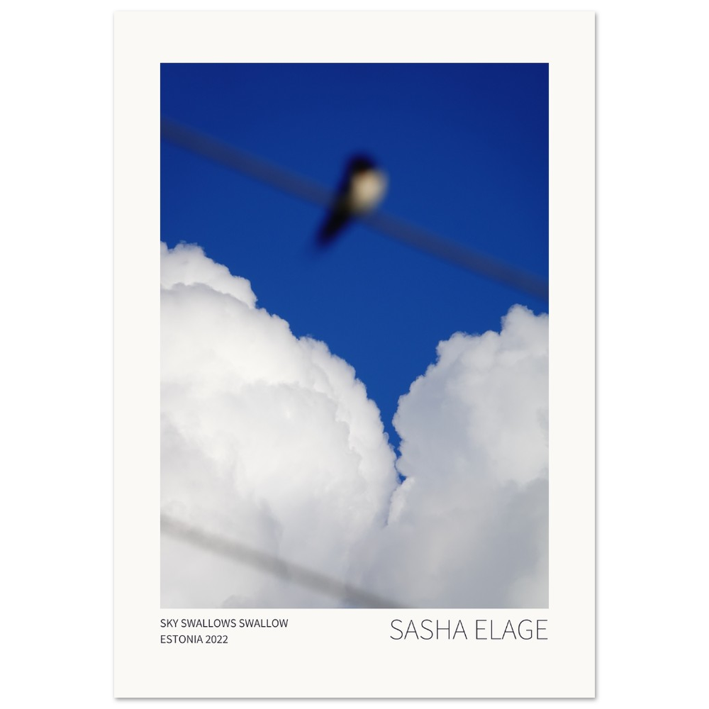 Sky Swallows Swallow, fine art photograph by Sasha Elage, Featherverse collection