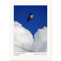 Sky Swallows Swallow, fine art photograph by Sasha Elage, Featherverse collection