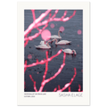 Snow Ballet on Swan Lake, fine art photograph by Sasha Elage, Featherverse collection