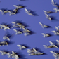 Murmurations 8