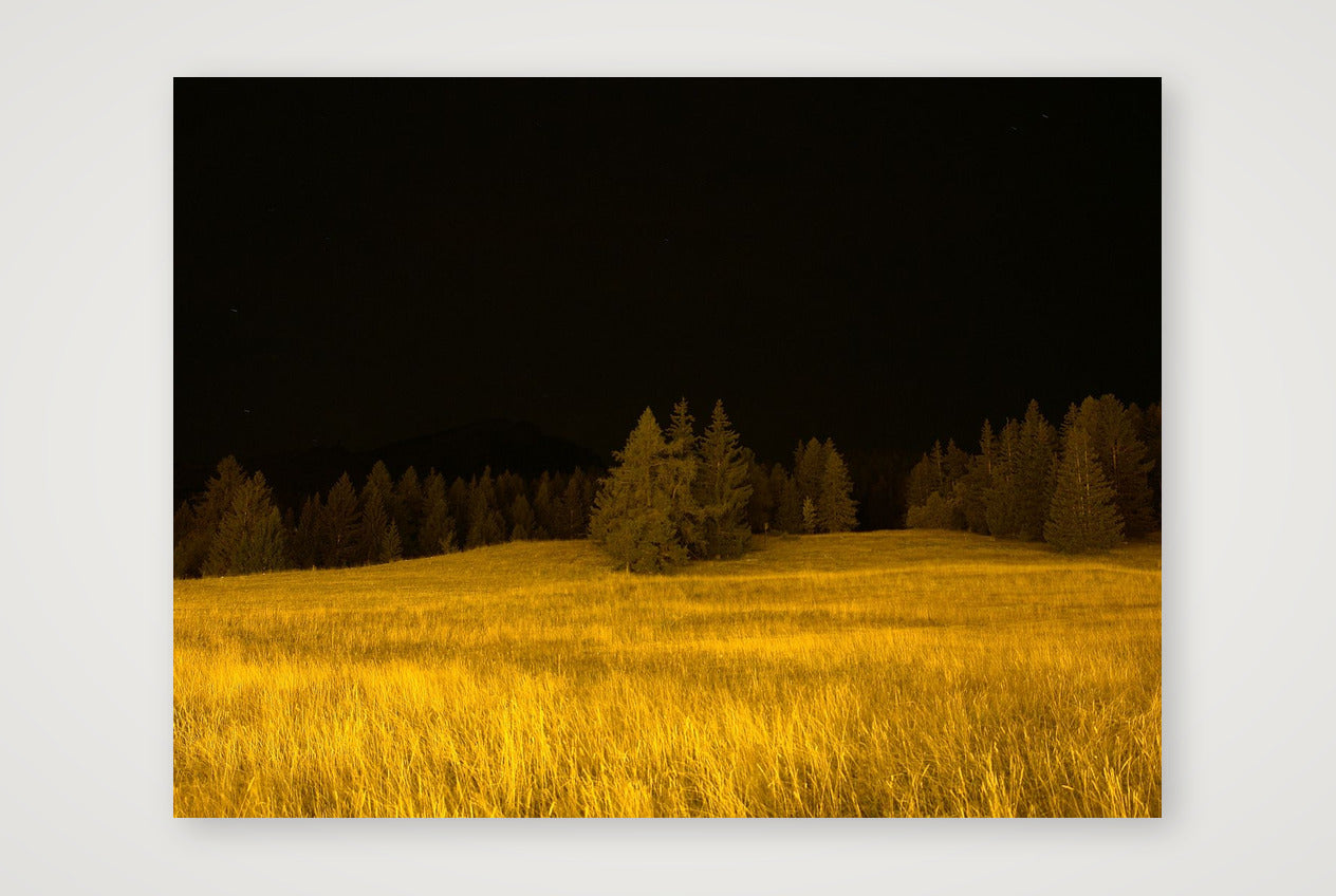 Yellow-Limited Edition — 80×60cm, 31×24" Print only
