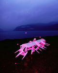 Postponed Pink Promises - Limited Edition