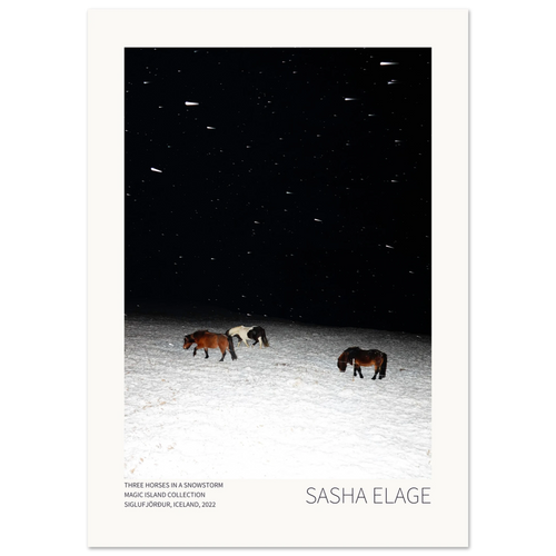 Three Horses in a Snowstorm, fine art photograph by Sasha Elage, Magic Island collection